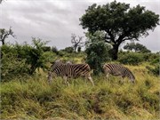 066-KrugerPhbaniGate1