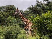 069-KrugerPhbaniGate1