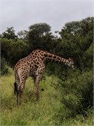 070-KrugerPhbaniGate1