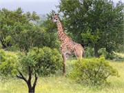 072-KrugerPhbaniGate1