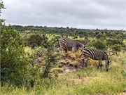 074-KrugerPhbaniGate1