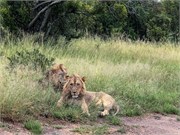 076-KrugerPhbaniGate1