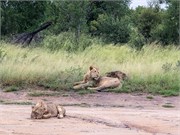078-KrugerPhbaniGate1