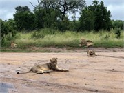 079-KrugerPhbaniGate1