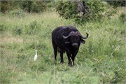 001-KrugerPhbaniGate2