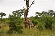 003-KrugerPhbaniGate2