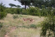 008-KrugerPhbaniGate2
