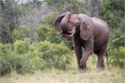 011-KrugerPhbaniGate2