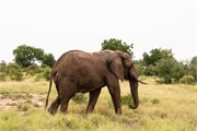 014-KrugerPhbaniGate2