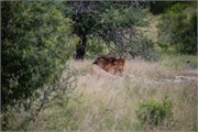 016-KrugerPhbaniGate2