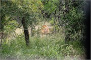 018-KrugerPhbaniGate2