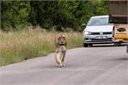 023-KrugerPhbaniGate2