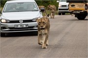 024-KrugerPhbaniGate2