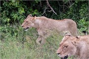 029-KrugerPhbaniGate2