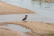 032-KrugerPhbaniGate2