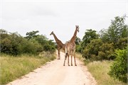 033-KrugerPhbaniGate2