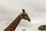 036-KrugerPhbaniGate2