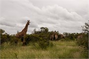 037-KrugerPhbaniGate2