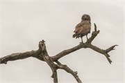 039-KrugerPhbaniGate2