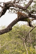 040-KrugerPhbaniGate2