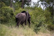 041-KrugerPhbaniGate2