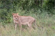 042-KrugerPhbaniGate2