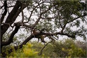 054-KrugerPhbaniGate2
