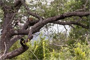 056-KrugerPhbaniGate2