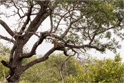 058-KrugerPhbaniGate2
