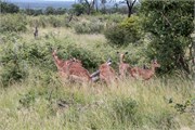 062-KrugerPhbaniGate2