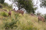 063-KrugerPhbaniGate2