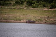 064-KrugerPhbaniGate2