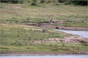 066-KrugerPhbaniGate2