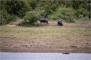069-KrugerPhbaniGate2