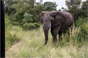 071-KrugerPhbaniGate2