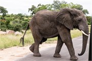 072-KrugerPhbaniGate2
