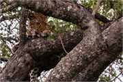073-KrugerPhbaniGate2