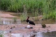 074-KrugerPhbaniGate2