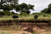 075-KrugerPhbaniGate2
