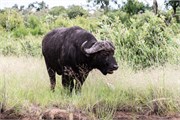 076-KrugerPhbaniGate2