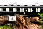001-Zambia-Train