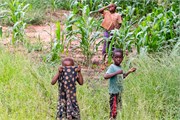 013-Zambia-Train