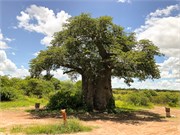 007-ToChobe-Cruise