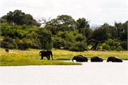 020-ToChobe-Cruise