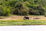 021-ToChobe-Cruise