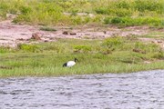 024-ToChobe-Cruise