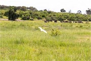 028-ToChobe-Cruise