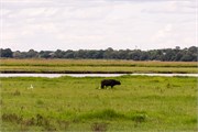 029-ToChobe-Cruise