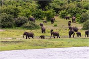 031-ToChobe-Cruise