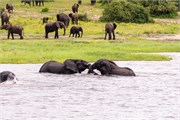 032-ToChobe-Cruise